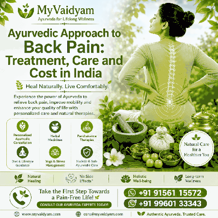 Ayurvedic Back Pain Treatment in India