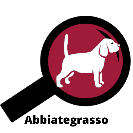 Web Agency Abbiategrasso Trend Finders SRL
