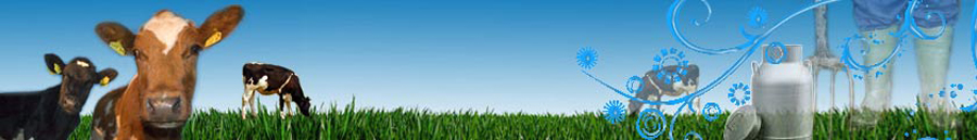 TRESDORF IM MÖLLTAL